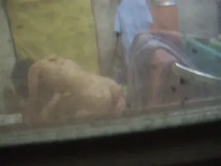 옆집에서 일어나는 일들 3 - 한국야동 국산야동