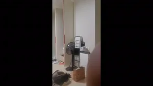 부평 손흥민 카사노바 254편