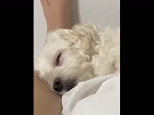 가슴큰 귀요미(졸귀젖탱이개쩜)