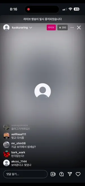 신작 ✨ 마멜_인스타 라방. 터미널생리 혐