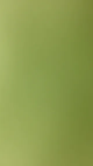 뽀얗고 청순한 그녀 이영애녀 2