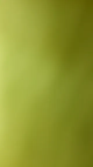 뽀얗고 청순한 그녀 이영애녀 3