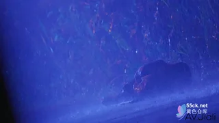 망사 이벤트 해주는 여친