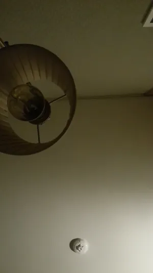 삼촌뻘 아재랑 비밀연애하는 어린처자 얼공풀팩 - 국산야동 한국야동