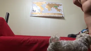 고전명작 벤틀리녀 무광고 한방팩 - 인기 한국야동 국산야동