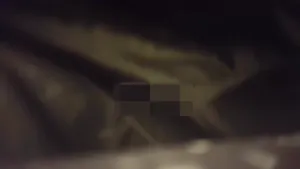 뚱남과 존예 아랫배문신녀 - 인기 한국야동 한국야동