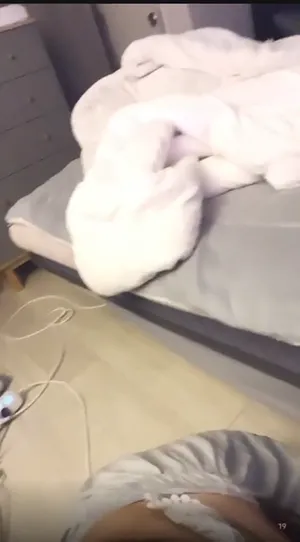 아프리카 아리 꼭지노출