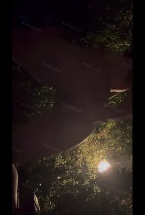 오프남과 공동 섹트 운영중인 트위터 지민